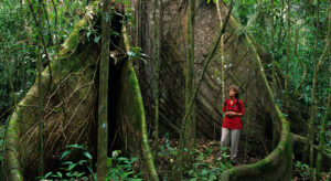 1-slide-costa-rica-woman-among-roots-pano - tours - travel